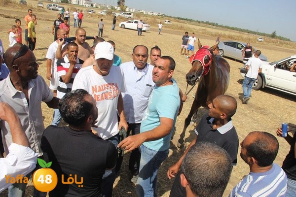 horse race 0602 (51).JPG